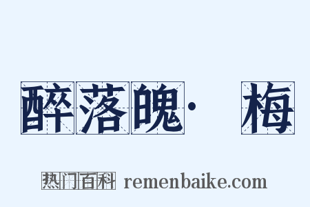 醉落魄·梅是什么意思的图片